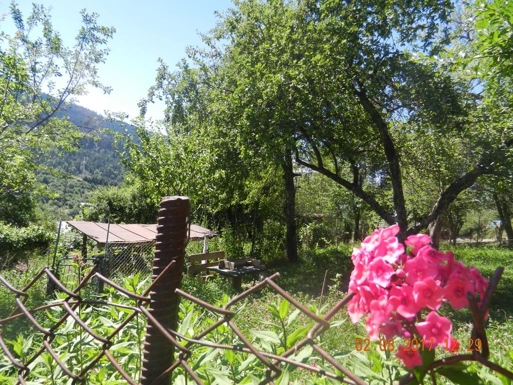 Marina Chartolani'S Guest House Mestia Exteriér fotografie
