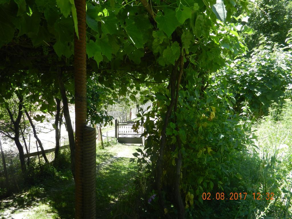 Marina Chartolani'S Guest House Mestia Exteriér fotografie