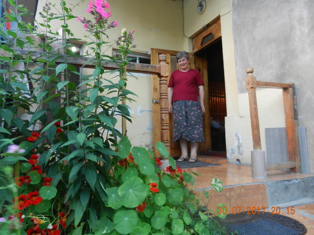 Marina Chartolani'S Guest House Mestia Exteriér fotografie